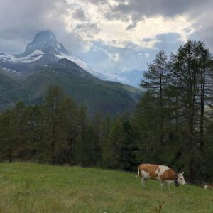 Zermatt