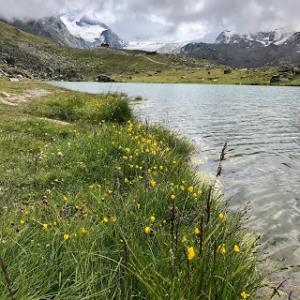 Zermatt